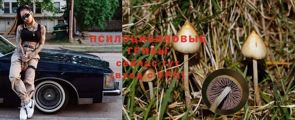 mix Аркадак