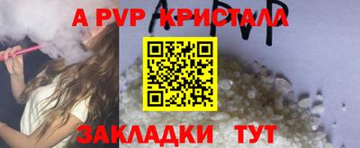 шишки Изобильный