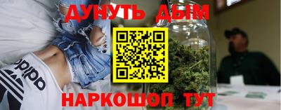 шишки Изобильный