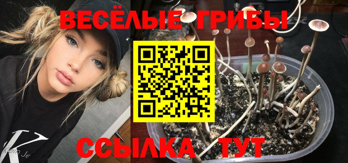 Псилоцибиновые грибы MAGIC MUSHROOMS Спасск-Дальний